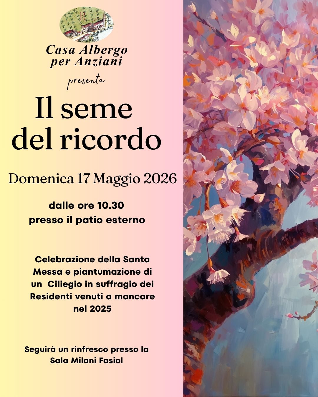 messa 17 maggio 006